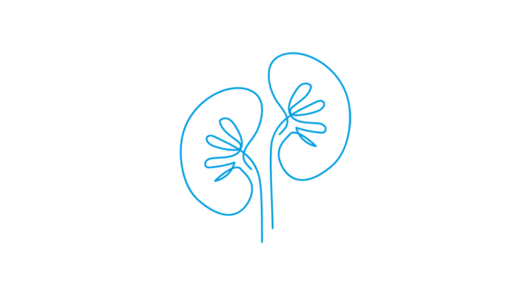 Nephrology